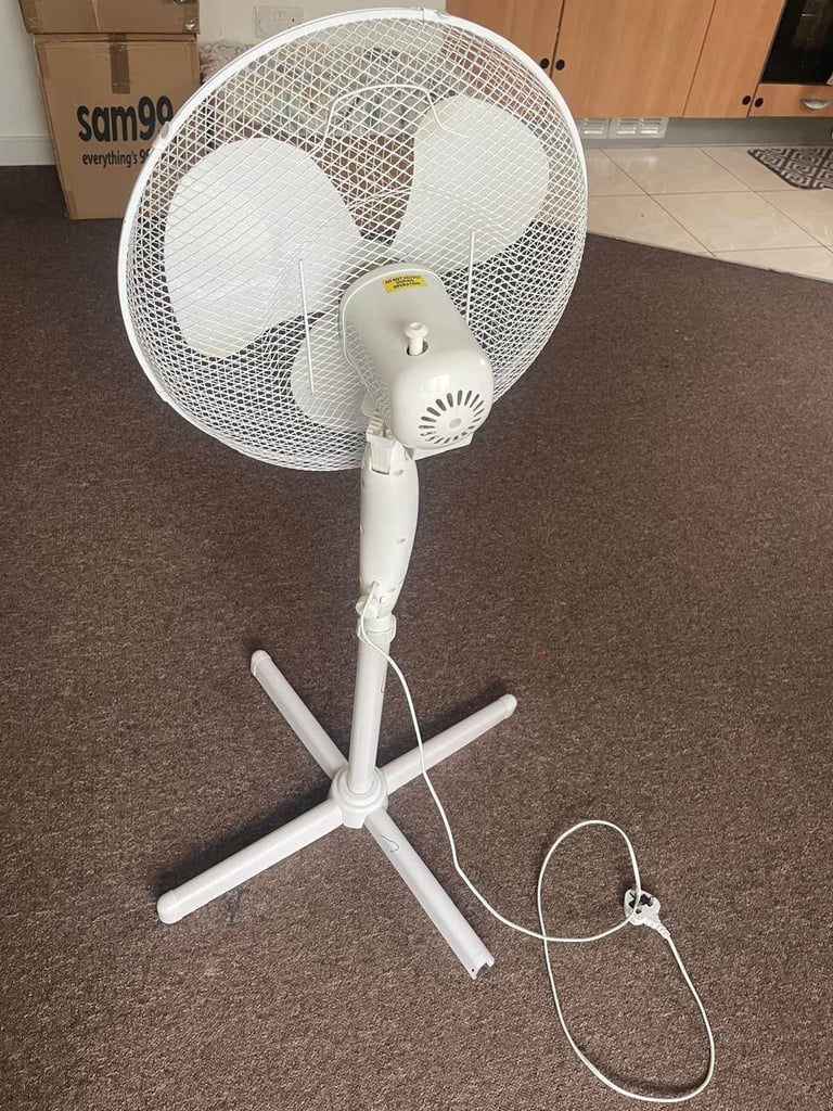 image for Fan