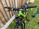 Green Bike 