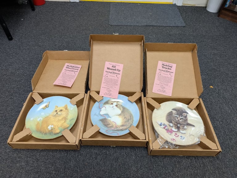 image for 3 x curious cat plates 