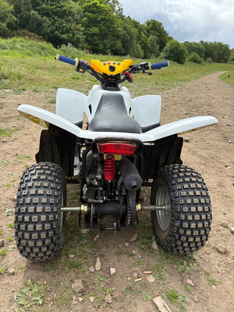 🔥Quadzilla qzr 80 