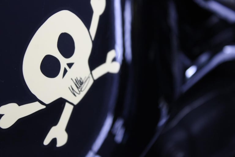 2009 Harley-Davidson FLSTSB Softail Crossbones in Denim Black