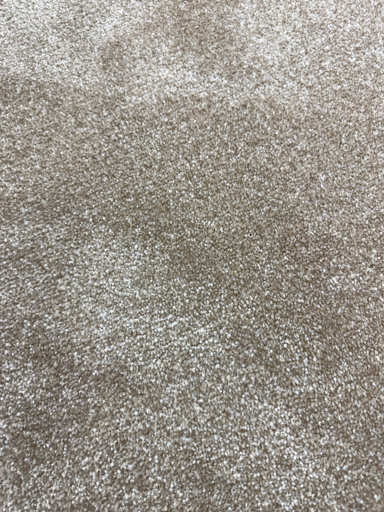 Thick cream beige carpet 1.42m x 4m Brand New