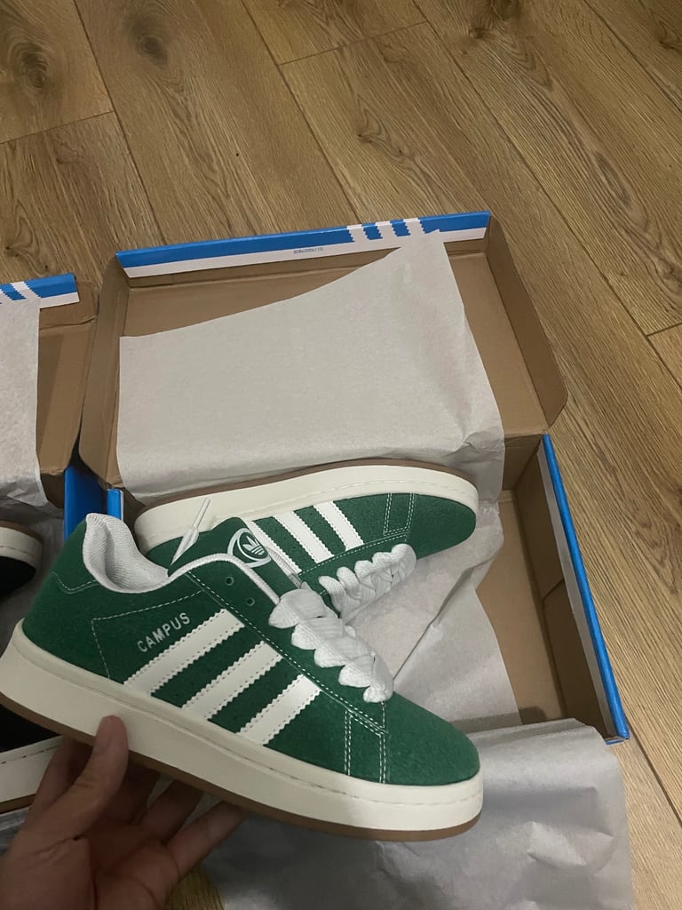 Adidas campus trainers 
