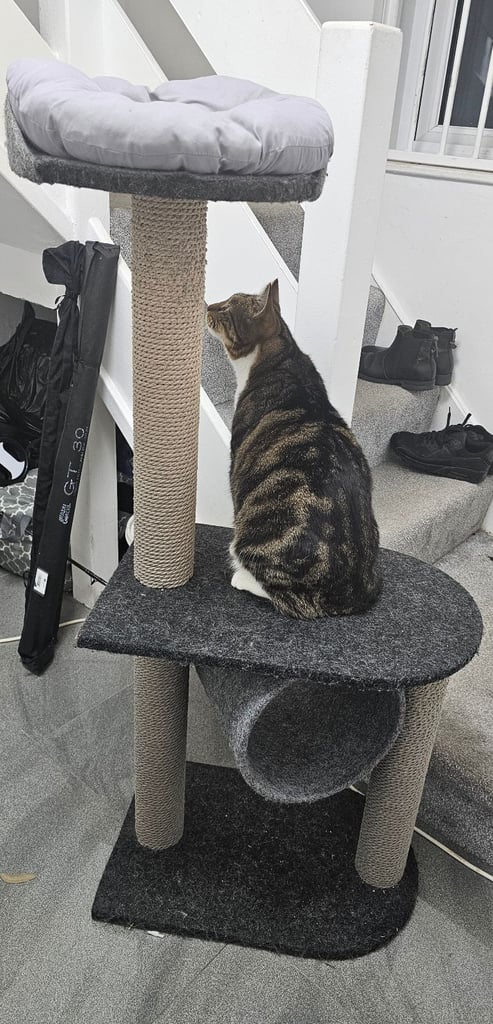 Cat Scratch Post