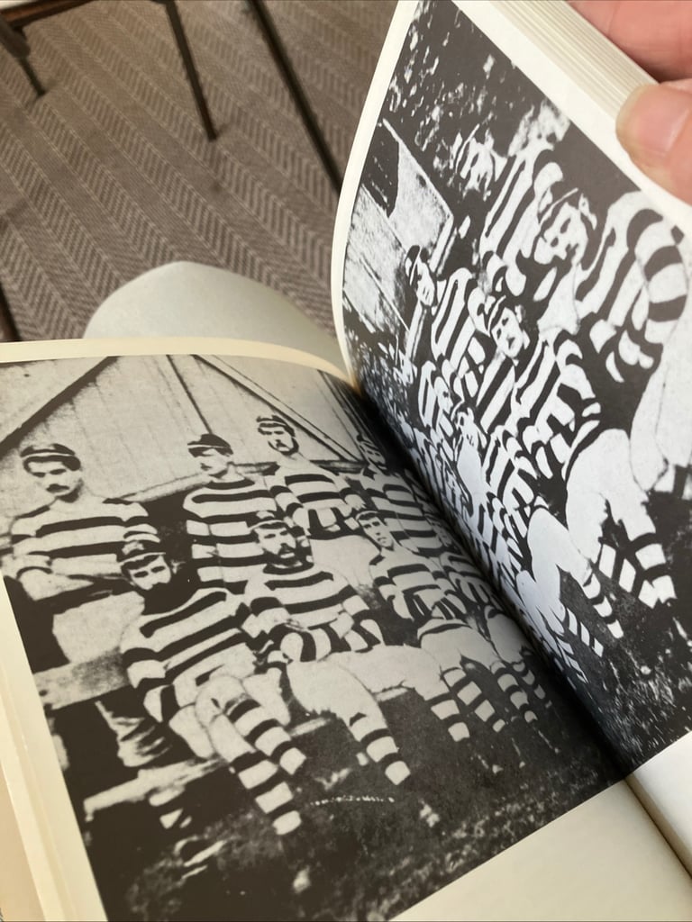 Vintage book Irish rugby scrapbook 1982