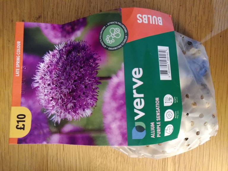 Daffodil, Crocus, & Allium bulbs 