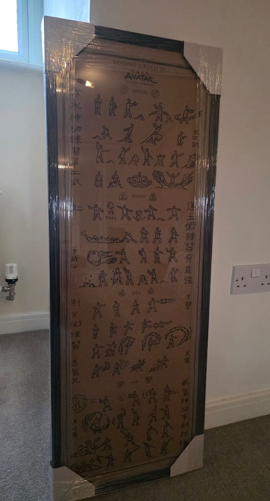 Avatar the last airbender professionally framed artwork