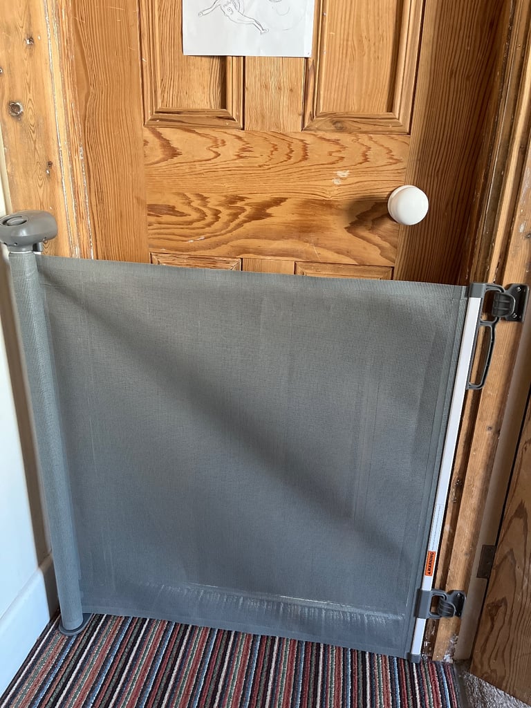 Retractable pet door gate