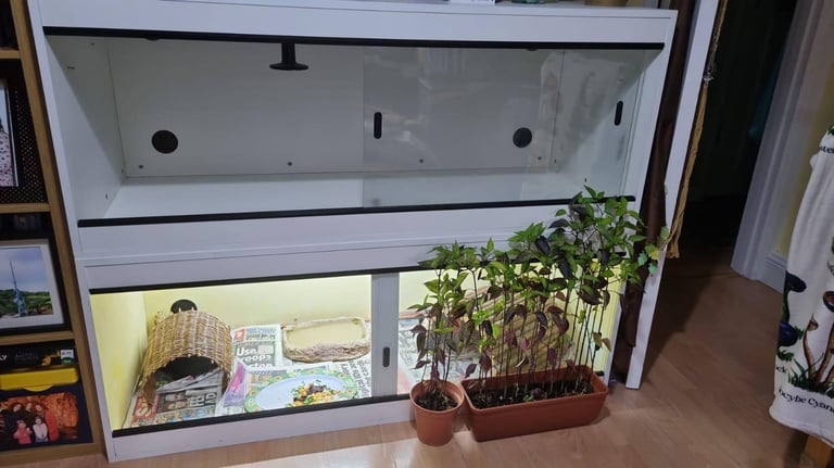Reptile Vivarium
