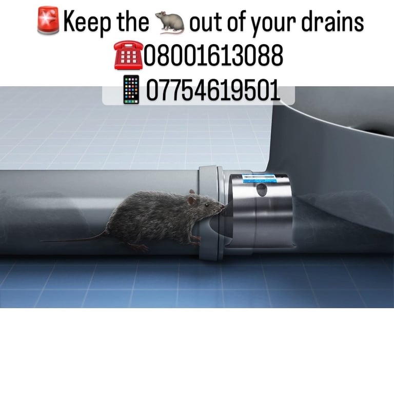 Keep Rats Out – CCTV + Stainless Rat Flap Fitted
