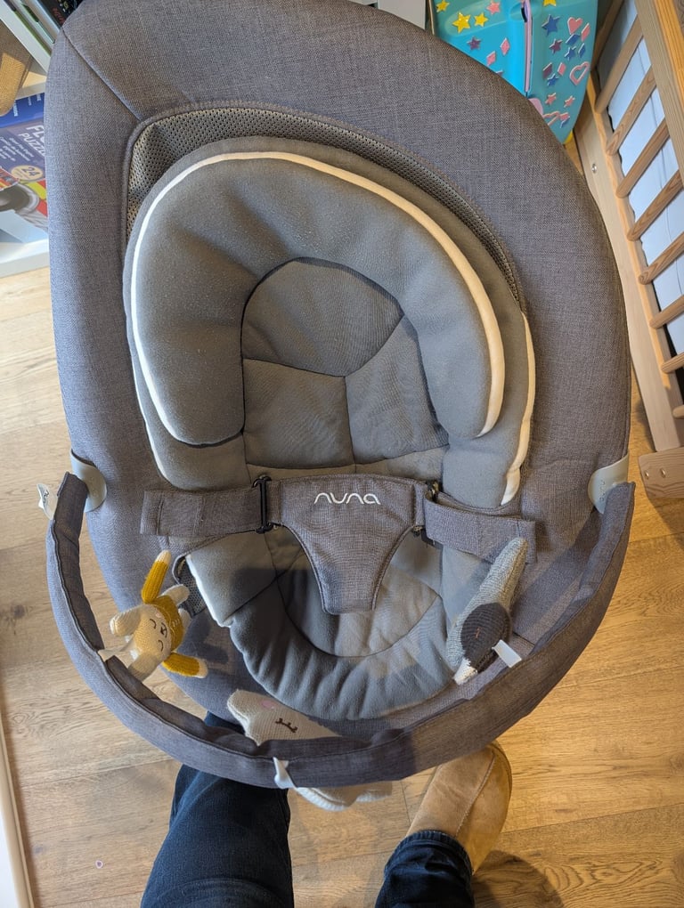 Nuna Leaf baby rocker chair 