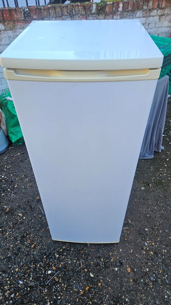 Tall fridge / free delivery 