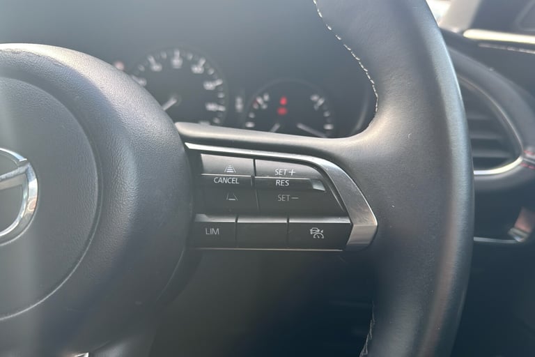  Mazda 3 2.0 E Skyactiv G Mhev Homura Hatchback 5dr Petrol Auto Euro 6 s/s 122