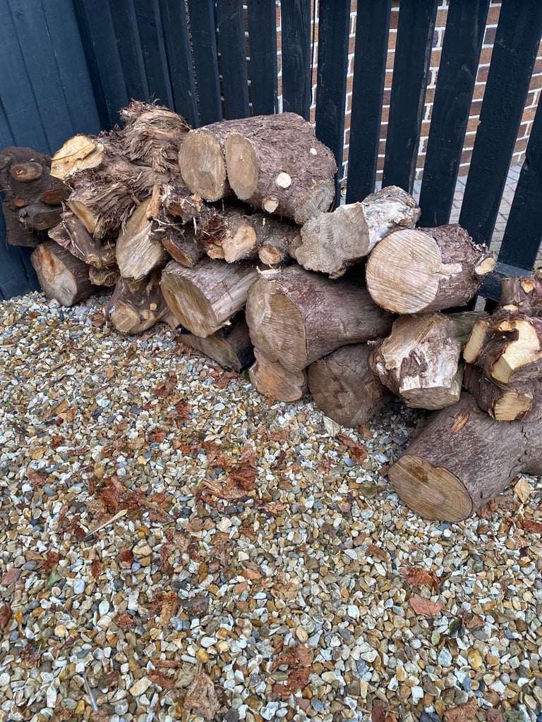 wood logs sale leylandii