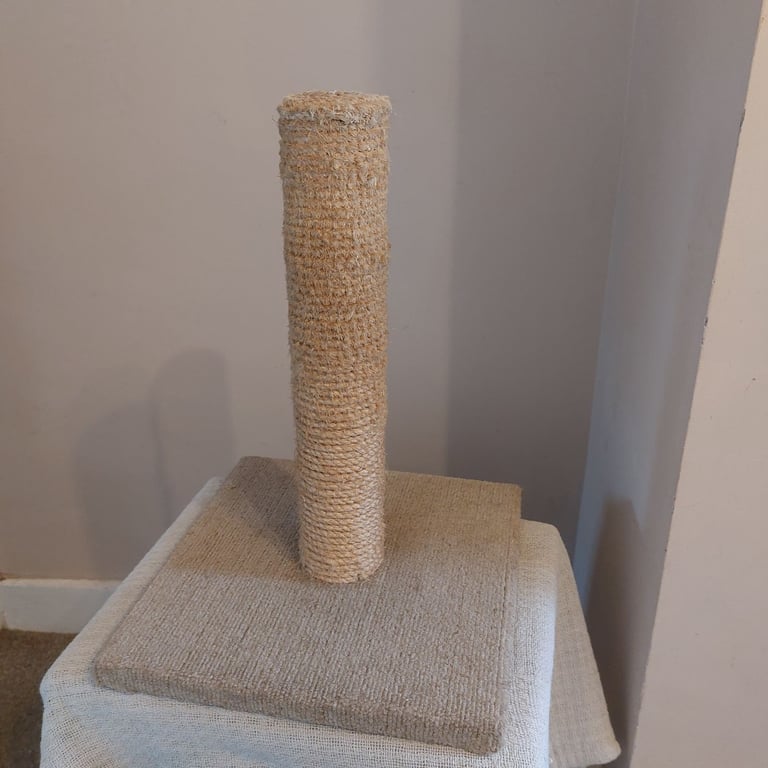 Cat Scratch Post 