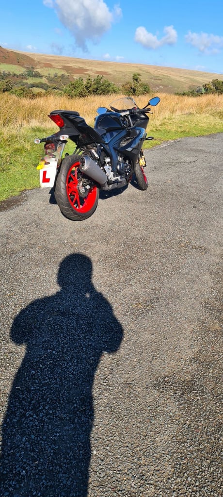 Suzuki, GSX-R, 2023, 124 (cc)