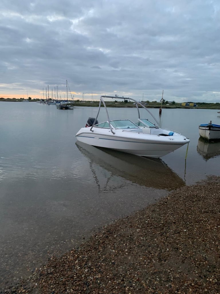 image for Searay 