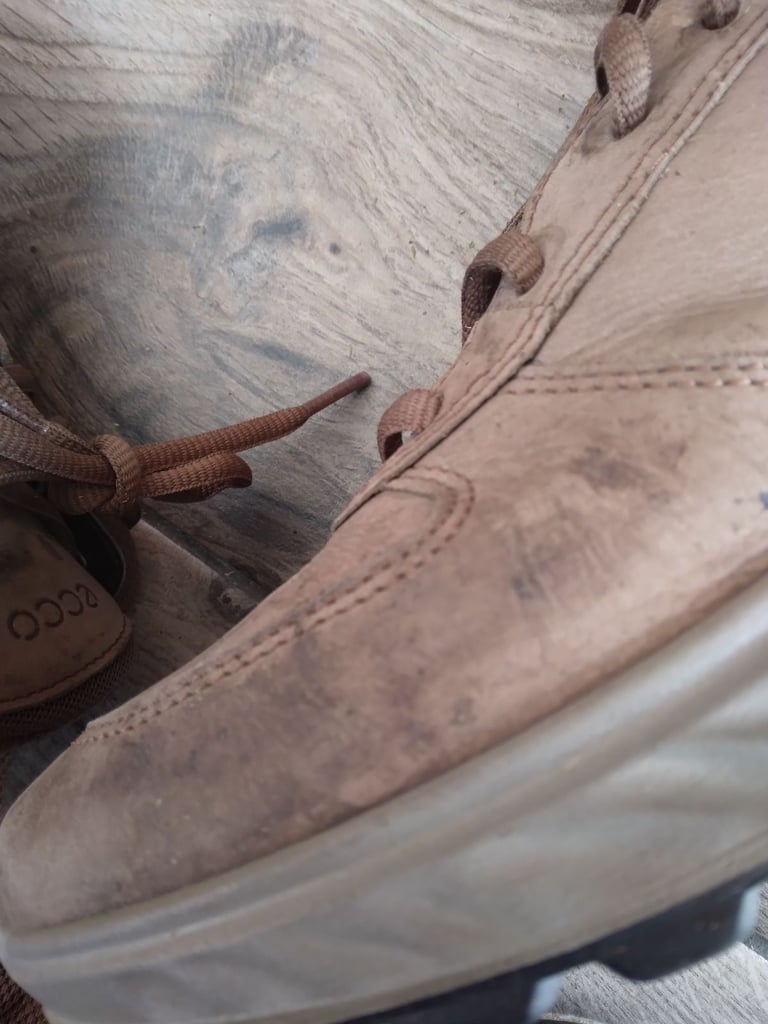 Men's Brown ECCO shoes 8 