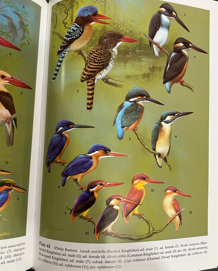 The Birds of the THAI-MALAY PENINSULA by  David R Wells, Vol one Non-passerines