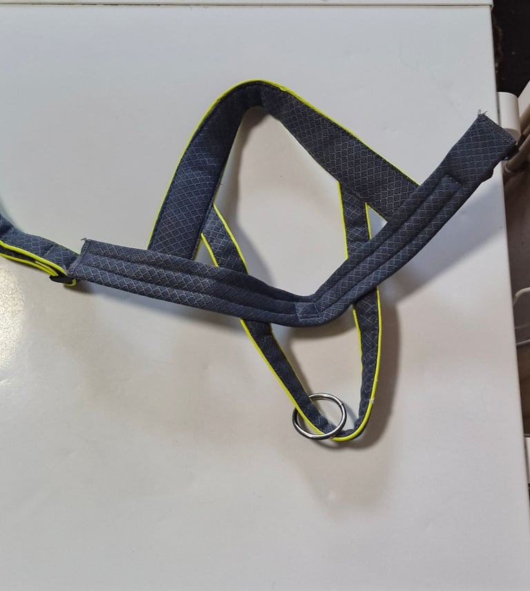 3 peaks dog harness