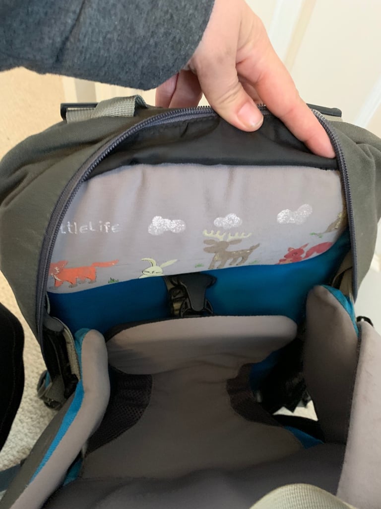 LittleLife Backpack 