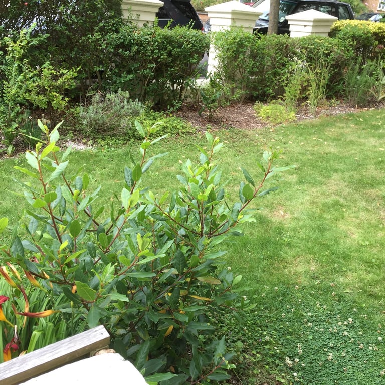 Charming Ground Floor Studio Flat