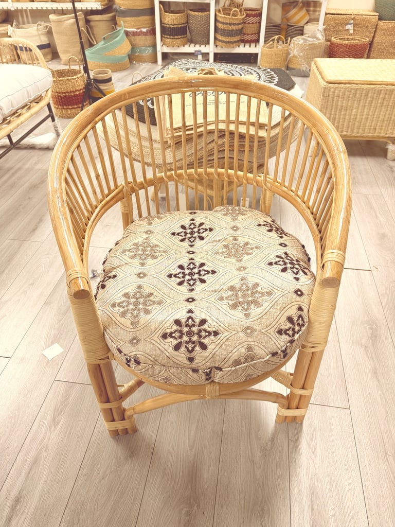 cozy Cane Arm Chair with cushion 