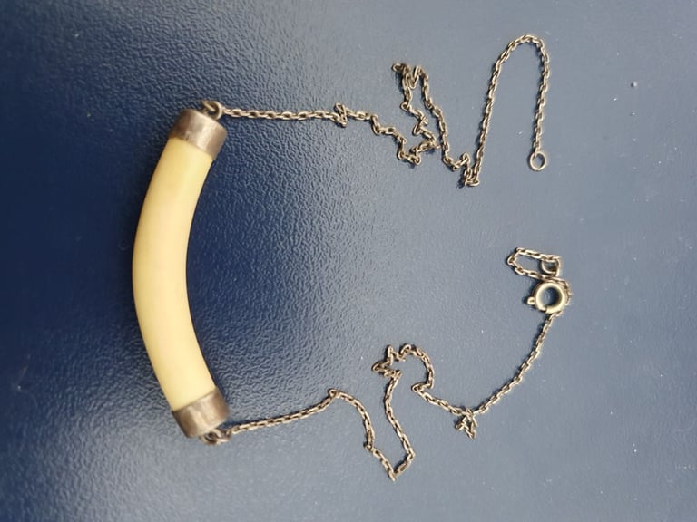 image for Bone and Silver Necklace