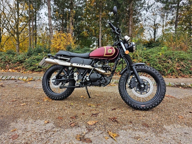 AJS DESERT SCRAMBLER 71 SCAMBLER  Other Manual Petrol 2023 