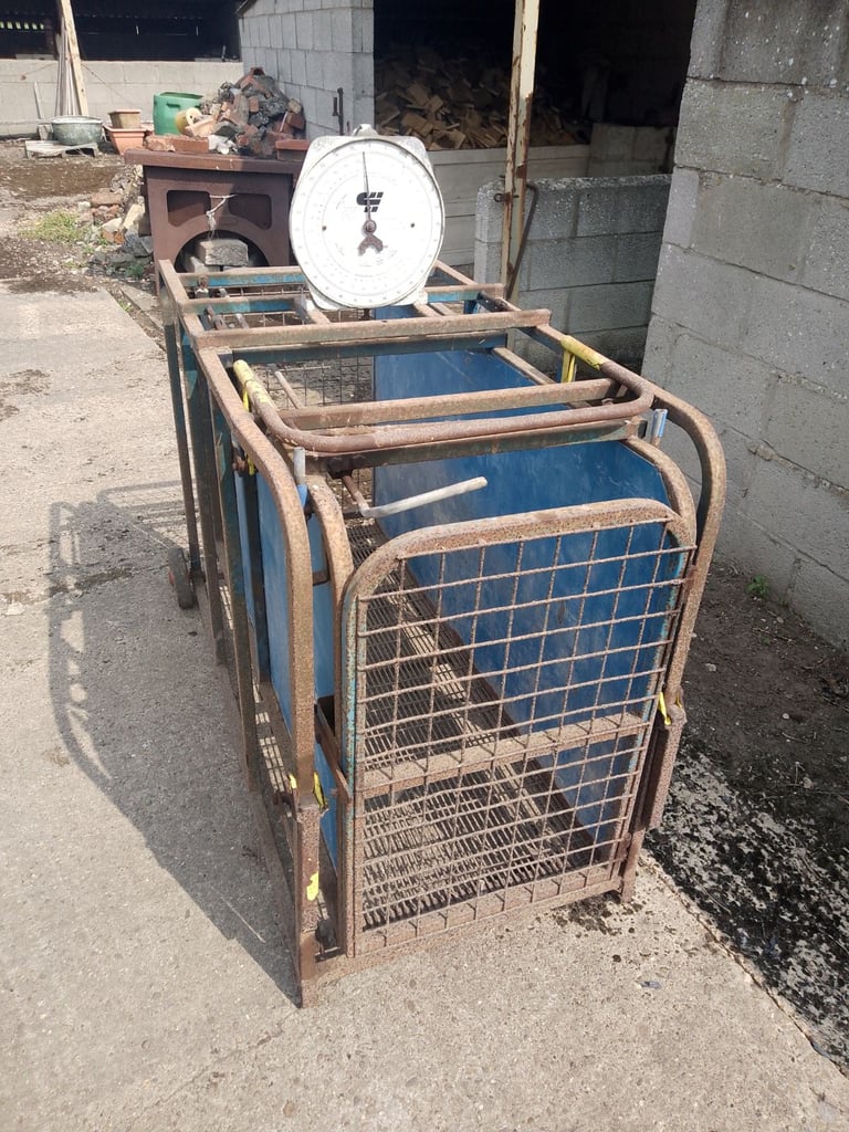 image for Sheep weigher 