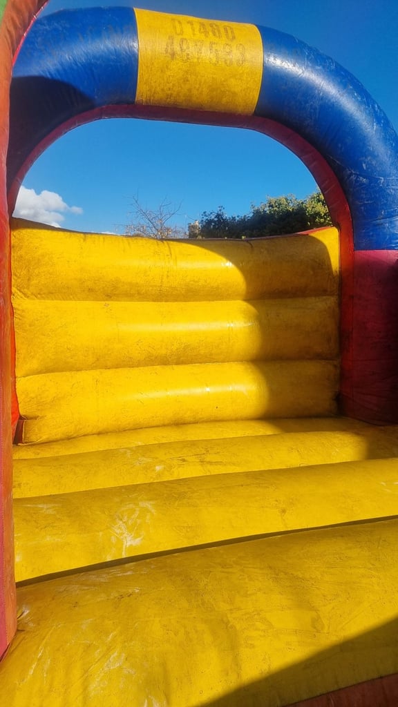 Great deal quick sale bouncing castle 