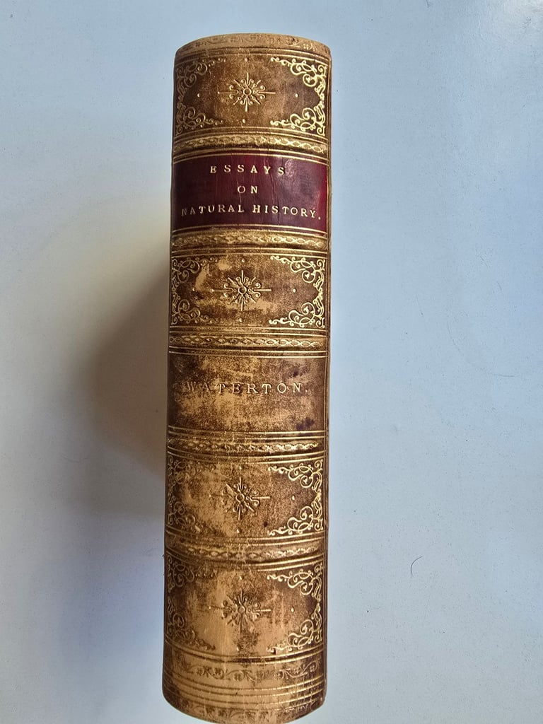 image for 1871 Victorian Essays on Natural History By Charles Waterton Antique Leatherbound Book