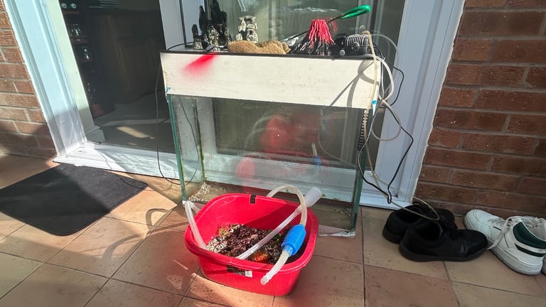 Big fish tank(with all accessories