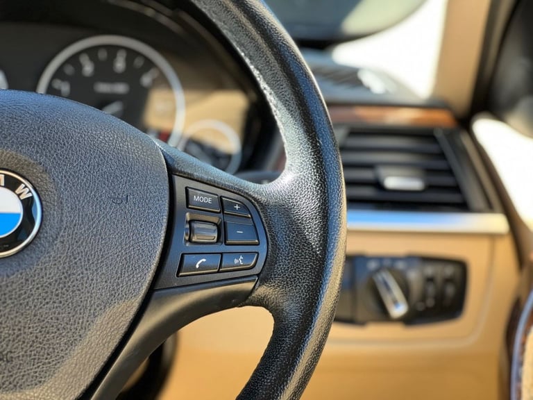 2013 BMW 3 Series 2.0 320d ED EfficientDynamics Business Saloon 4dr Diesel Auto Euro 5 (s/s)  Sal...