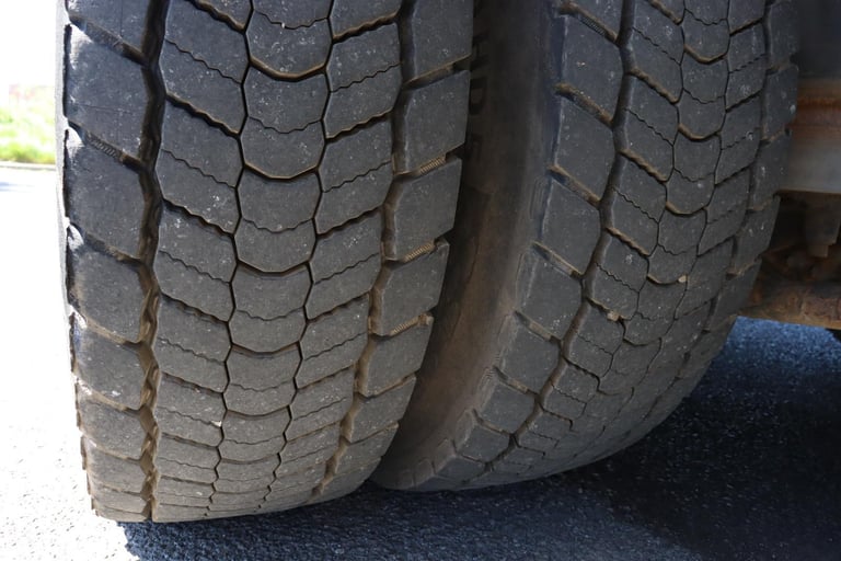 DAF LF 220 4X2 FRIGOBLOCK FREEZER BOXVAN (2014)