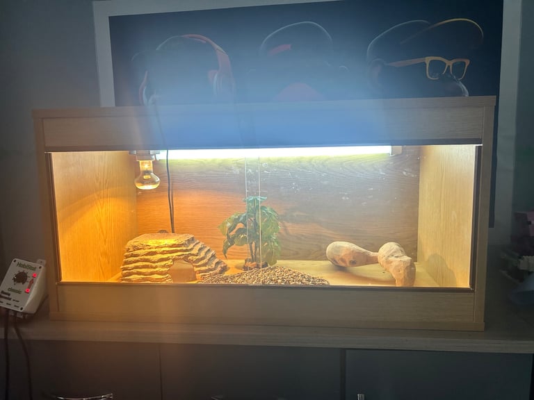Vivarium 