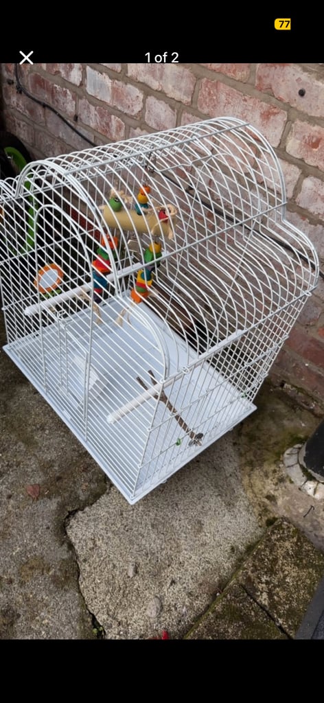 Budgies cage 