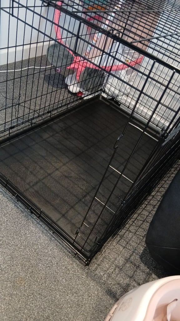 Large dog cage brand new 