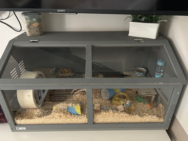 Full setup including Syrian gray hamster 