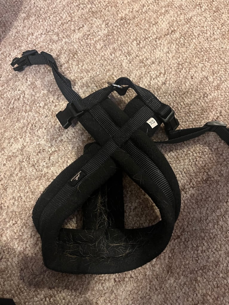 Dog harness