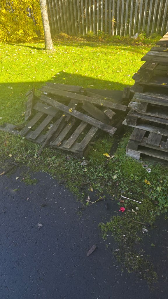 Free pallets for bonfire 🔥 