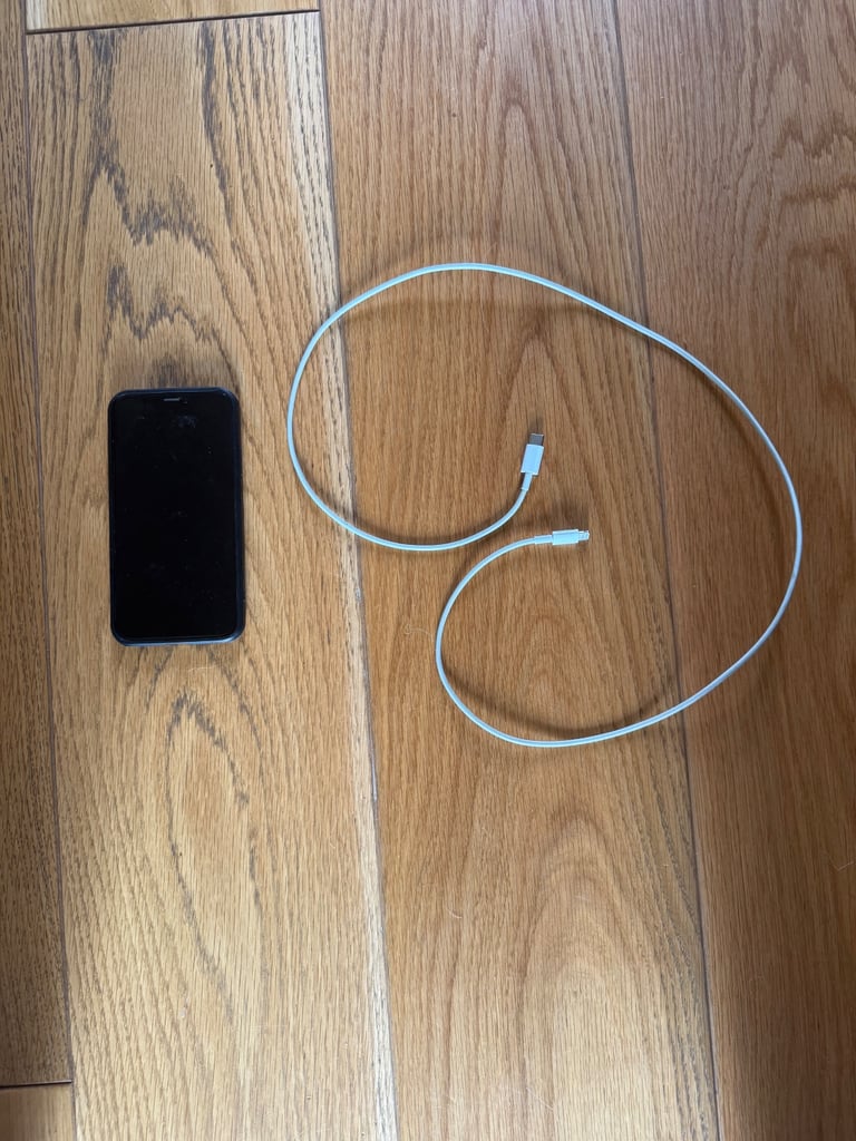 iPhone X and charging wire 