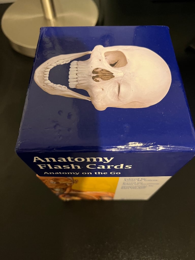 image for Thieme anatomy flash cards 