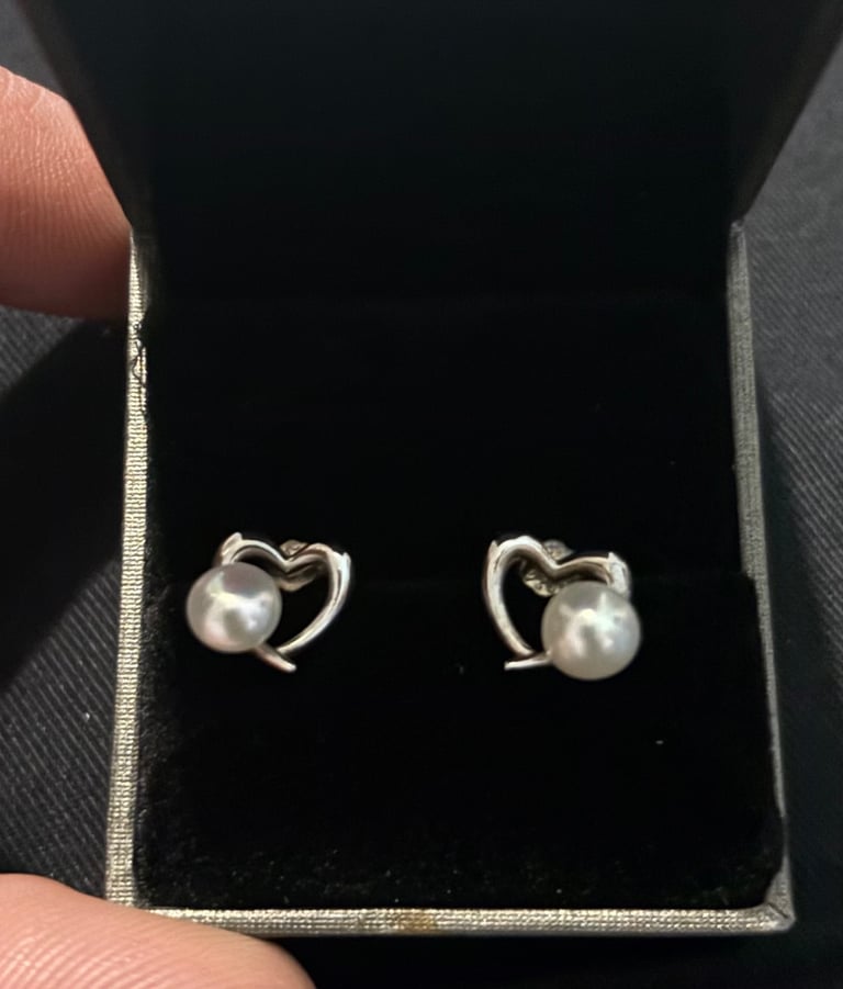 image for B Catcher sterling silver earrings 