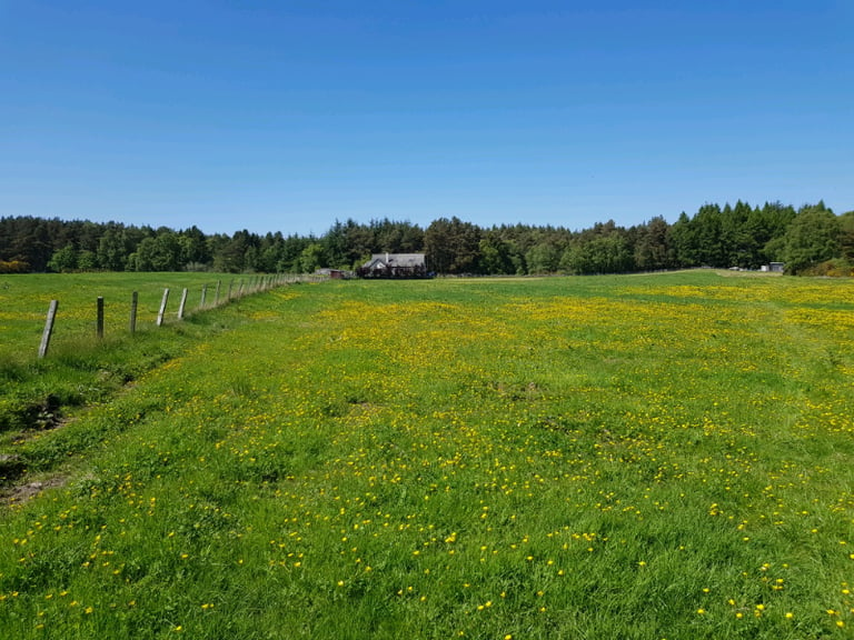 Land available to rent for horse grazing 