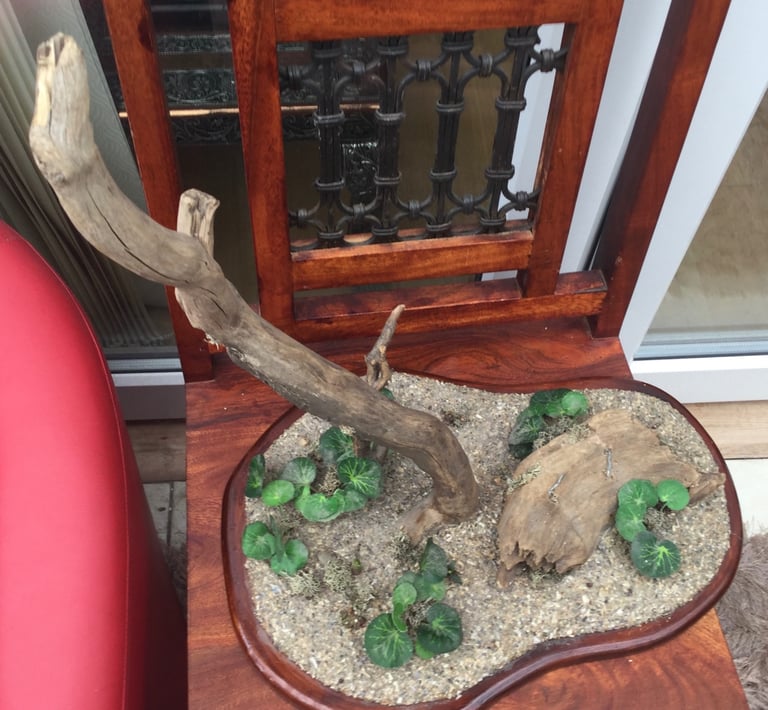 Taxidermy decorative Plinth