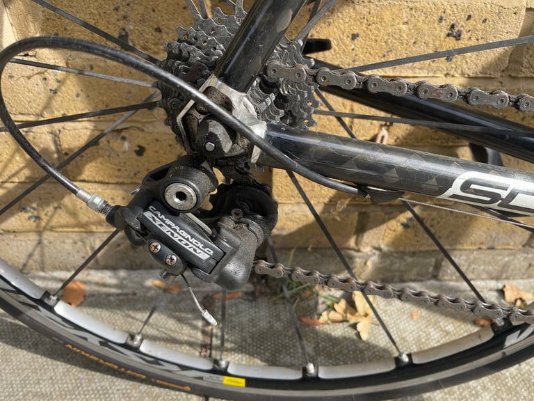 Complete Carbon Scott Road bicycle Campagnolo components throughout