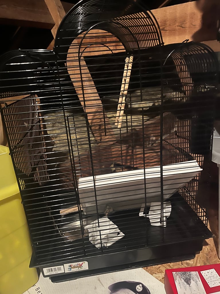 image for For sale selling a brand new budgie cage