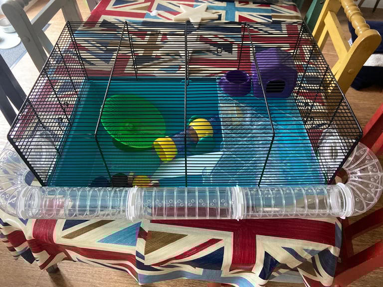 Hamster cage with extras 
