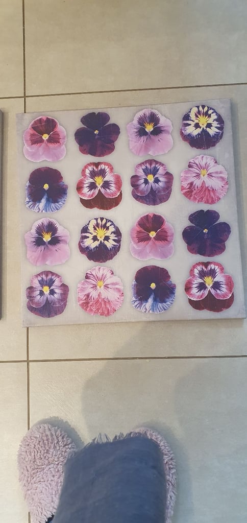 Flower Wall Pictures 